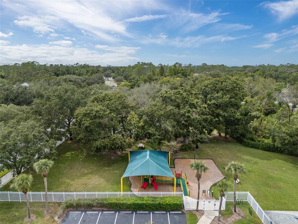 5909 Wedgefield Drive Zephyrhills, FL 33541 - Photo 32 of 54 an aerial view of residential houses with outdoor space and trees