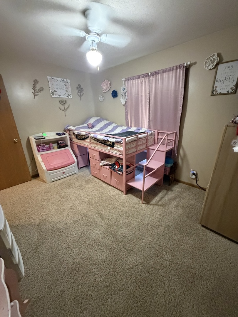 2218 South Thompsonville Road Thompsonville, IL 62890 - Photo 18 of 22 Gallery Image 18