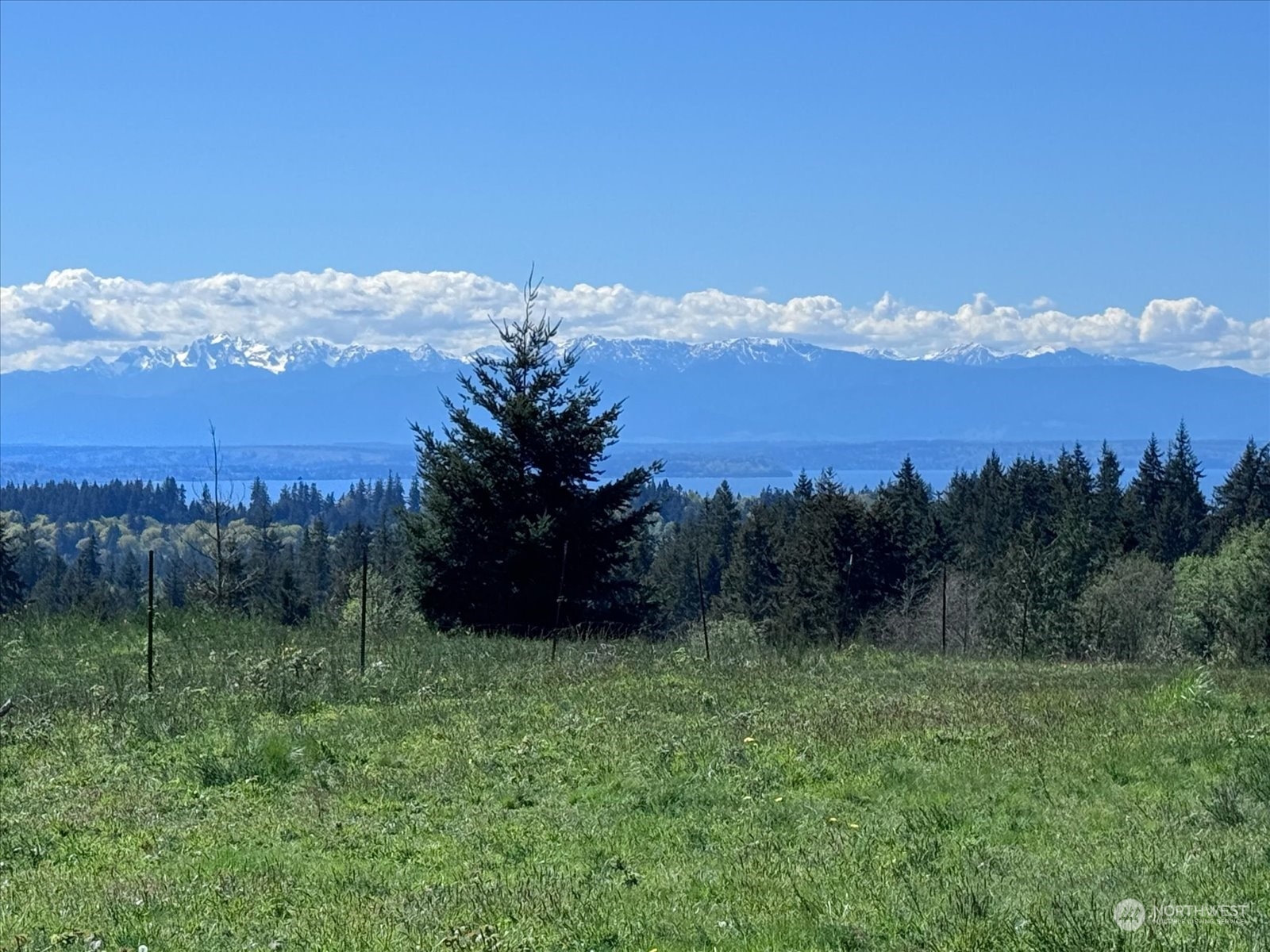 -xxx Log Cabin Road Clinton, WA 98236 - Photo 18 of 29 Gallery Image 18