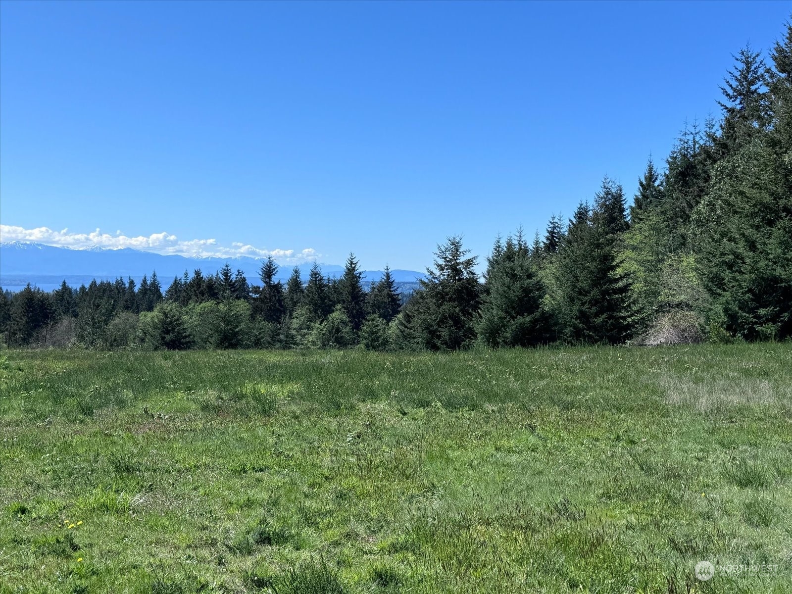 -xxx Log Cabin Road Clinton, WA 98236 - Photo 21 of 29 Gallery Image 21