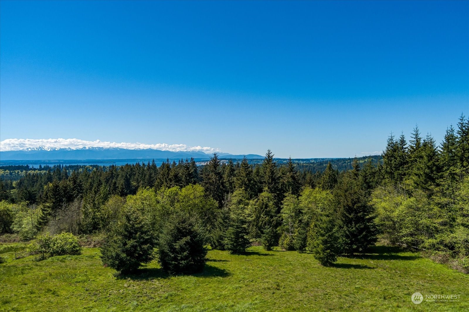 -xxx Log Cabin Road Clinton, WA 98236 - Photo 6 of 29 Gallery Image 6