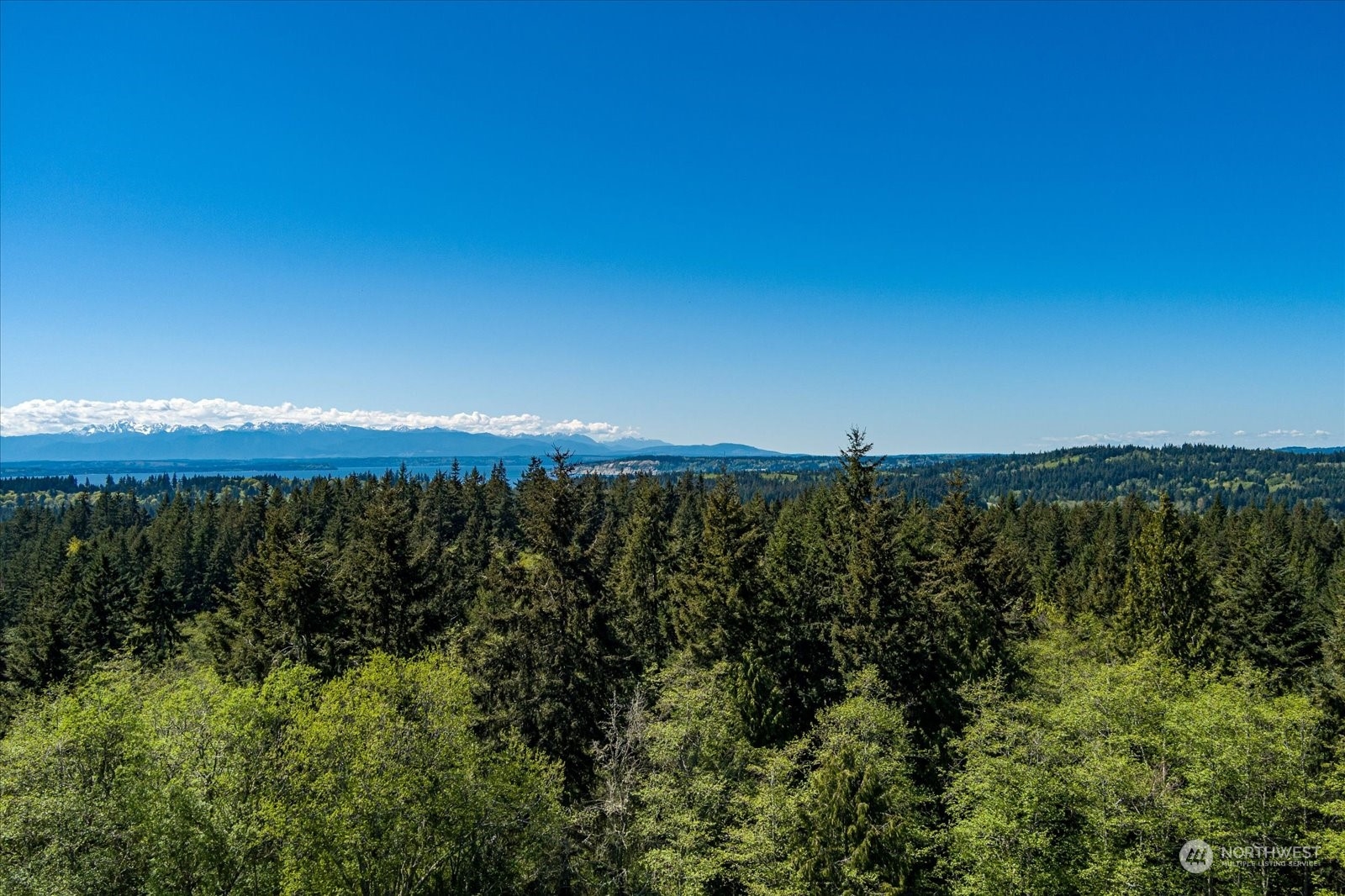 -xxx Log Cabin Road Clinton, WA 98236 - Photo 8 of 29 Gallery Image 8