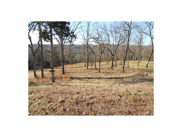 41 Ranch Road Chestnutridge, MO 65630 - Photo 1 of 1 Primary Photo