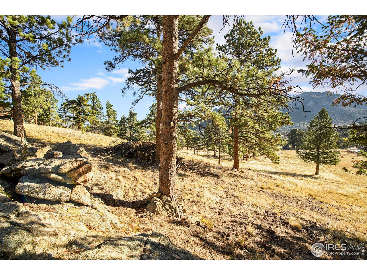 2630 Ridge Lane Estes Park, CO 80517 - Photo 13 of 31 a view of a yard with wooden fence