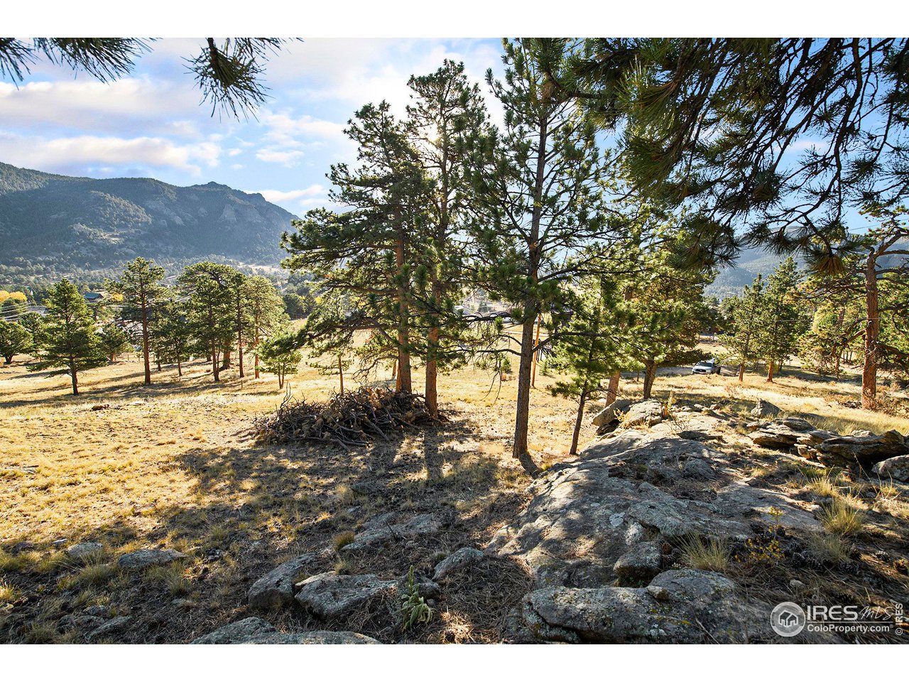 2630 Ridge Lane Estes Park, CO 80517 - Photo 14 of 31 a view of outdoor space and yard