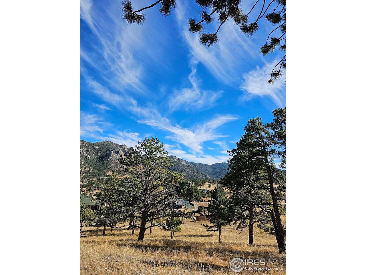 2630 Ridge Lane Estes Park, CO 80517 - Photo 23 of 31 a view of a yard
