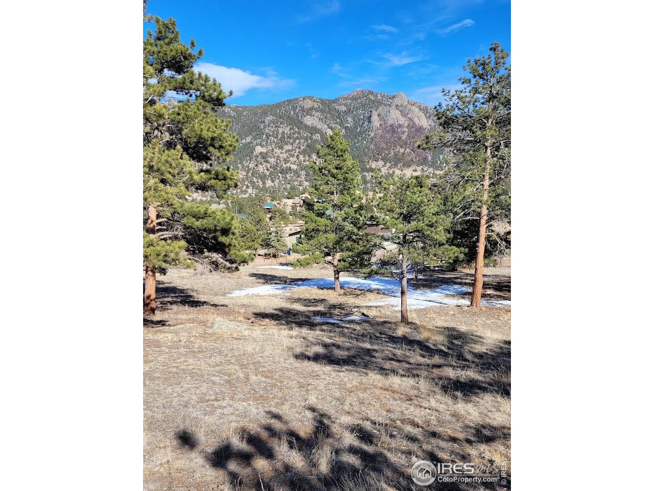2630 Ridge Lane Estes Park, CO 80517 - Photo 26 of 31 a view of a backyard of a house