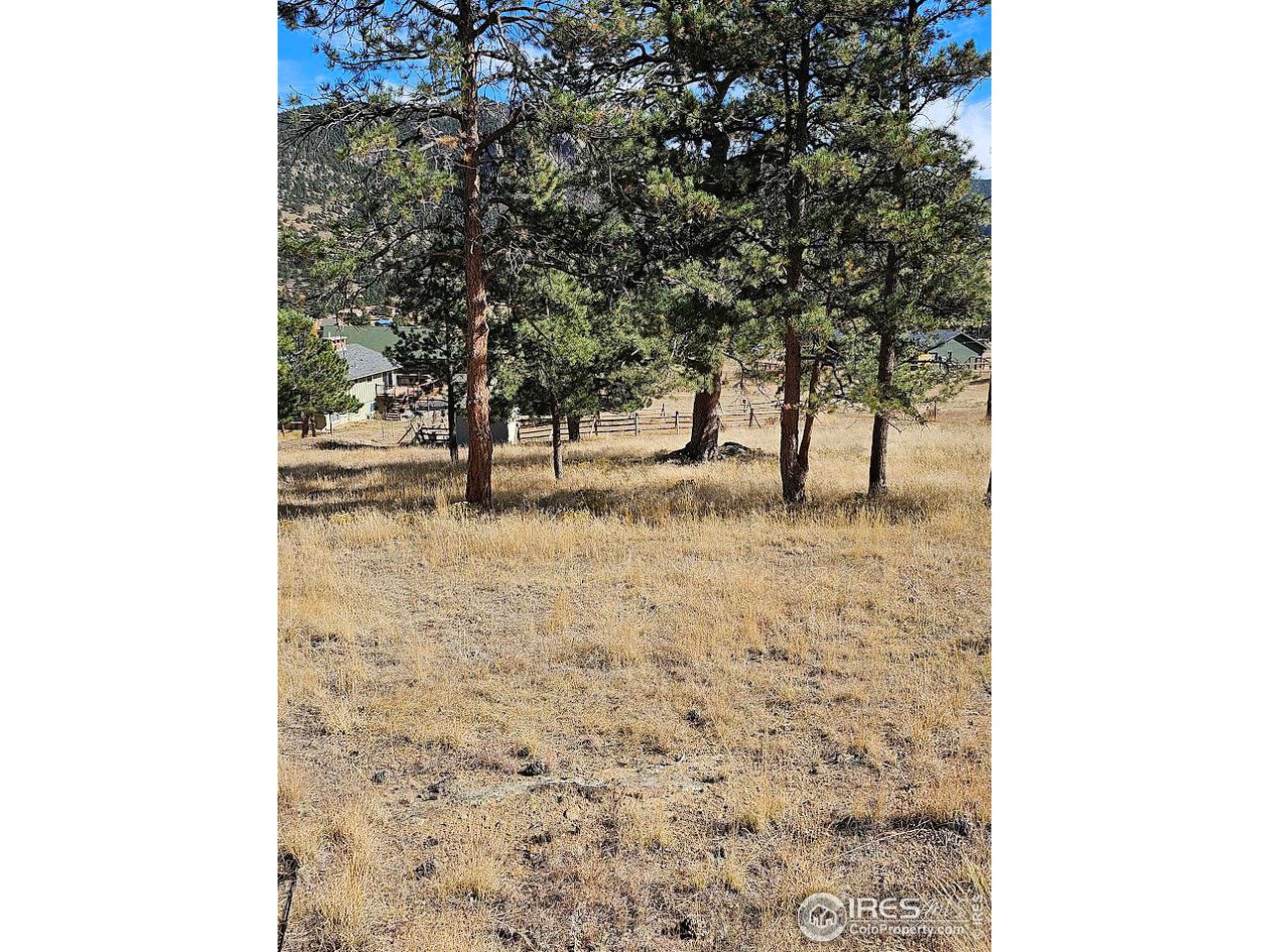 2630 Ridge Lane Estes Park, CO 80517 - Photo 28 of 31 a view of empty room with large trees