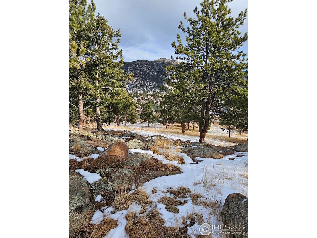2630 Ridge Lane Estes Park, CO 80517 - Photo 29 of 31 a view of a yard with wooden fence and a bench