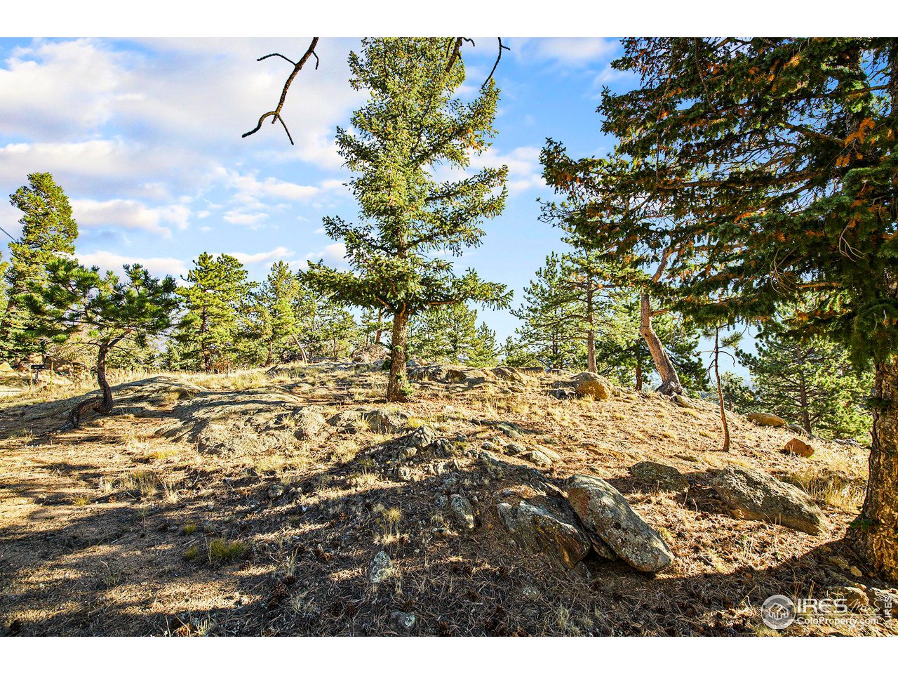 2630 Ridge Lane Estes Park, CO 80517 - Photo 6 of 31 a view of sunset