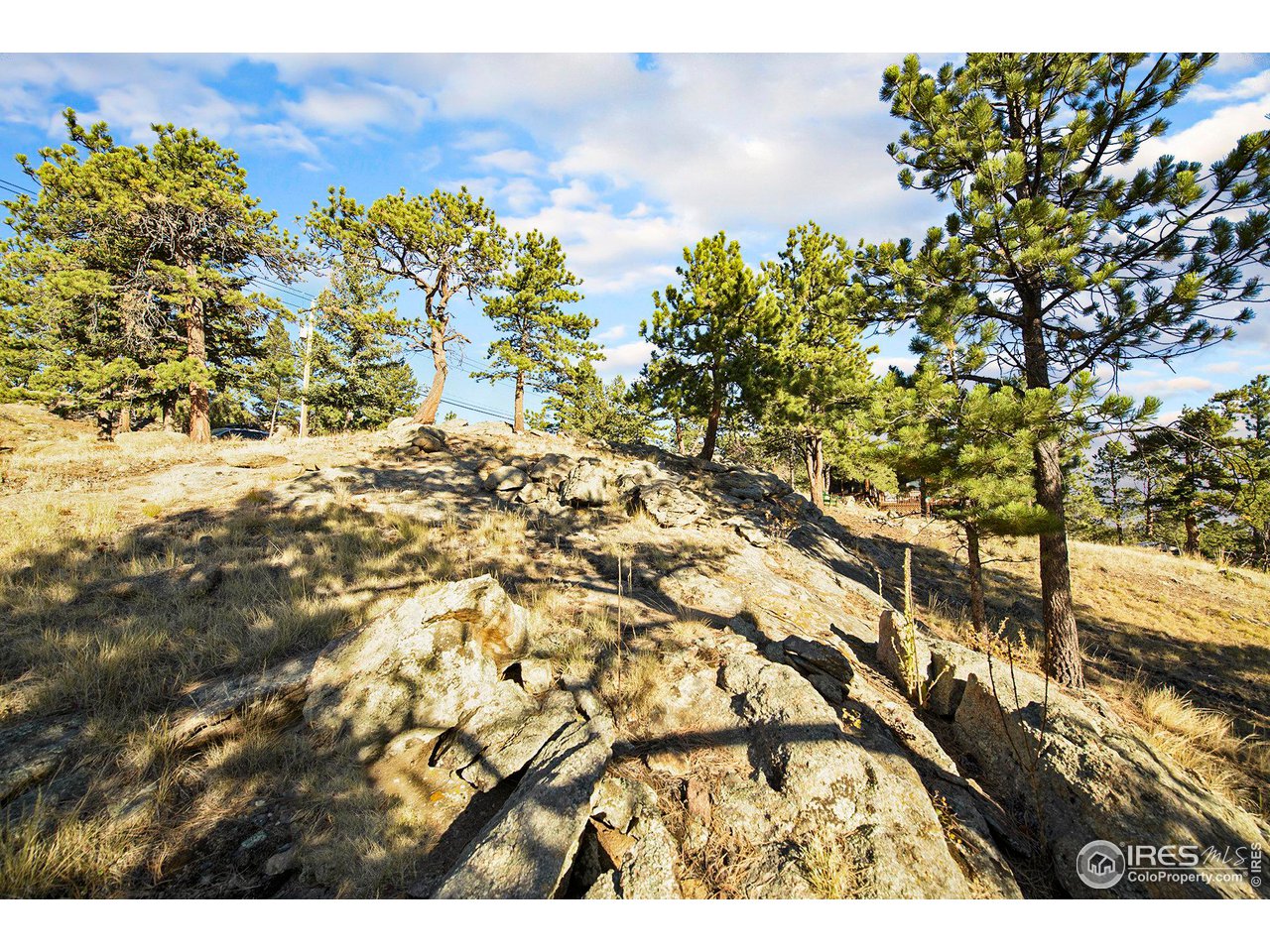 2630 Ridge Lane Estes Park, CO 80517 - Photo 8 of 31 a view of outdoor space with lots of trees