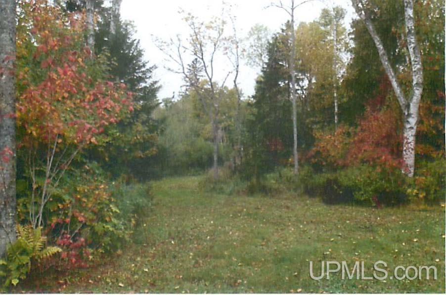 Tbd Lac Labelle Road Lake Linden, MI 49945 - Photo 9 of 9