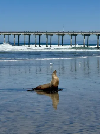 a close view of sink and tap