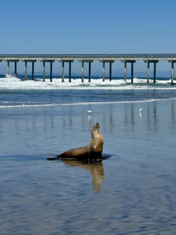 a close view of sink and tap