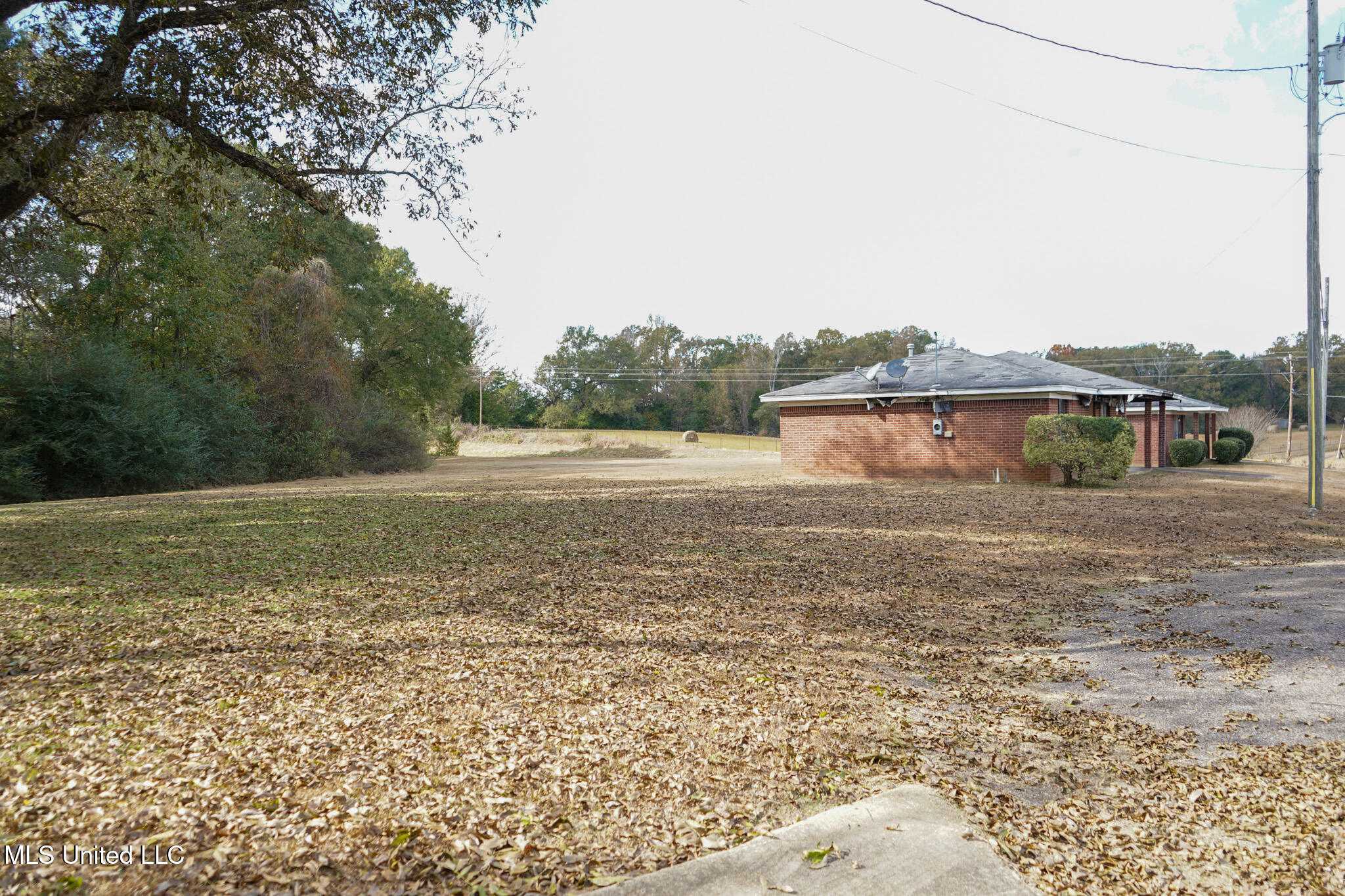 7958 Hebron Road Lexington, MS 39095 - Photo 16 of 49 View from Home 5