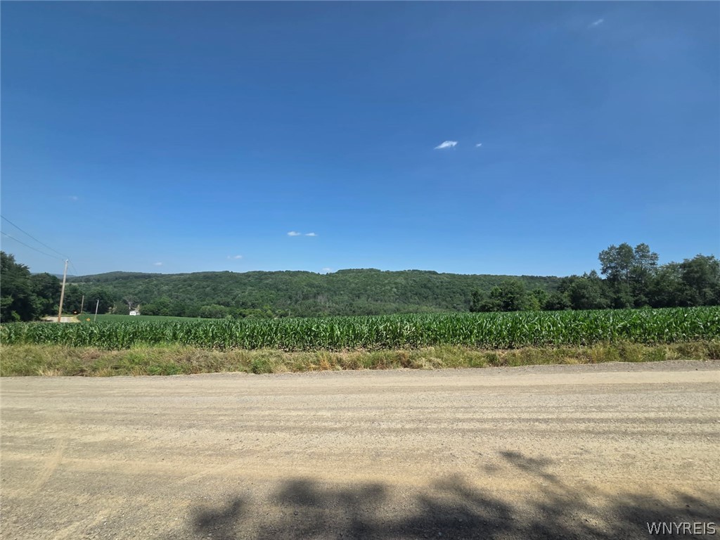 5351 Middle Road Bath, NY 14810 - Photo 40 of 48