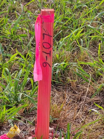 $35,000 | 2870 Old Highway 63, Speedwell, TN 37870