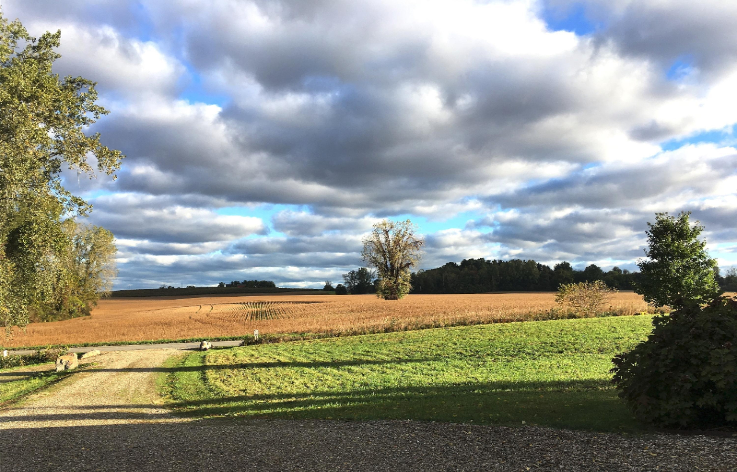 2048 Kaiser Road Galien, MI 49113 - Photo 15 of 20 Autumn frt mowed meadow early