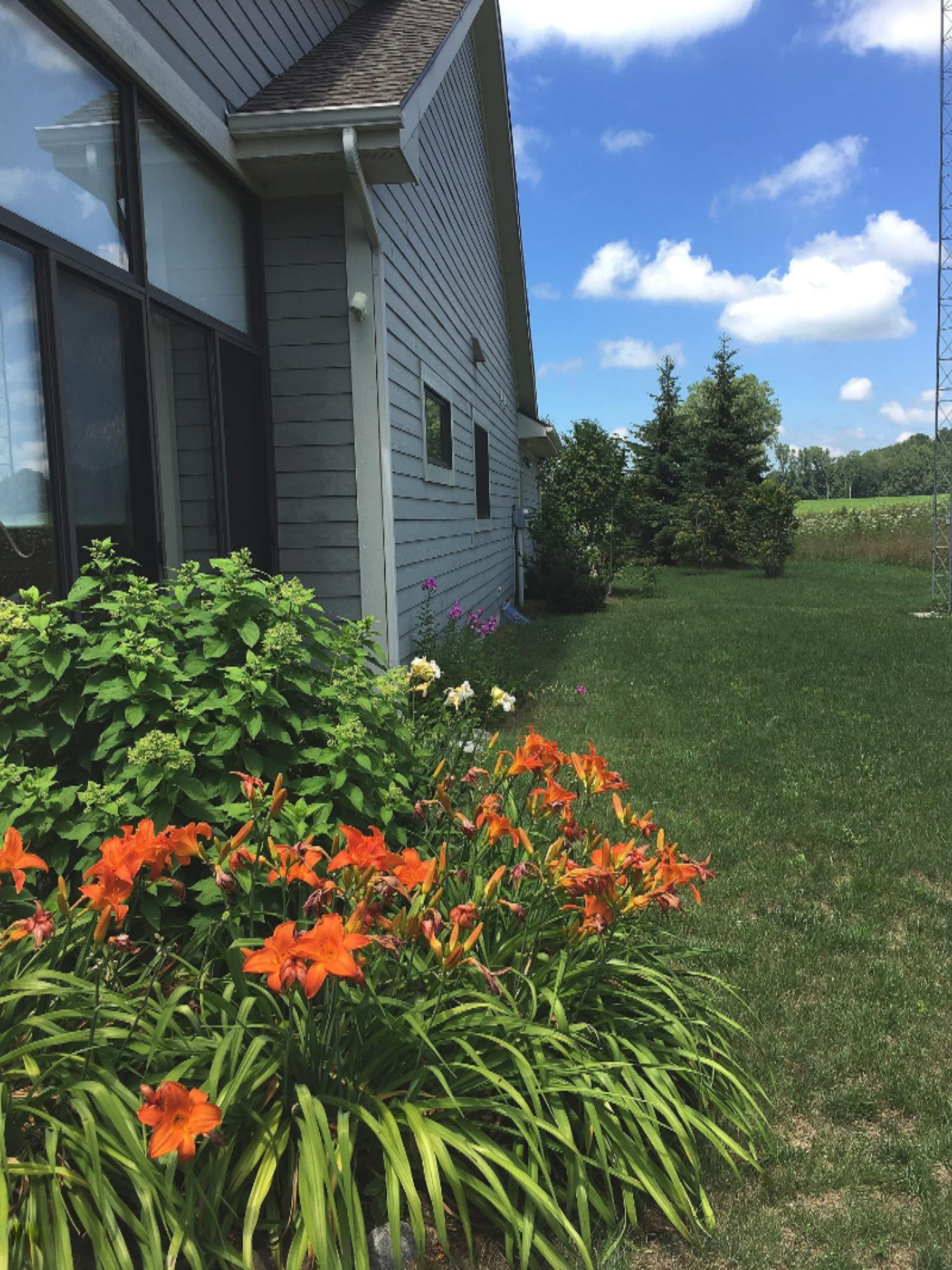 2048 Kaiser Road Galien, MI 49113 - Photo 17 of 20 Daylilies along the house