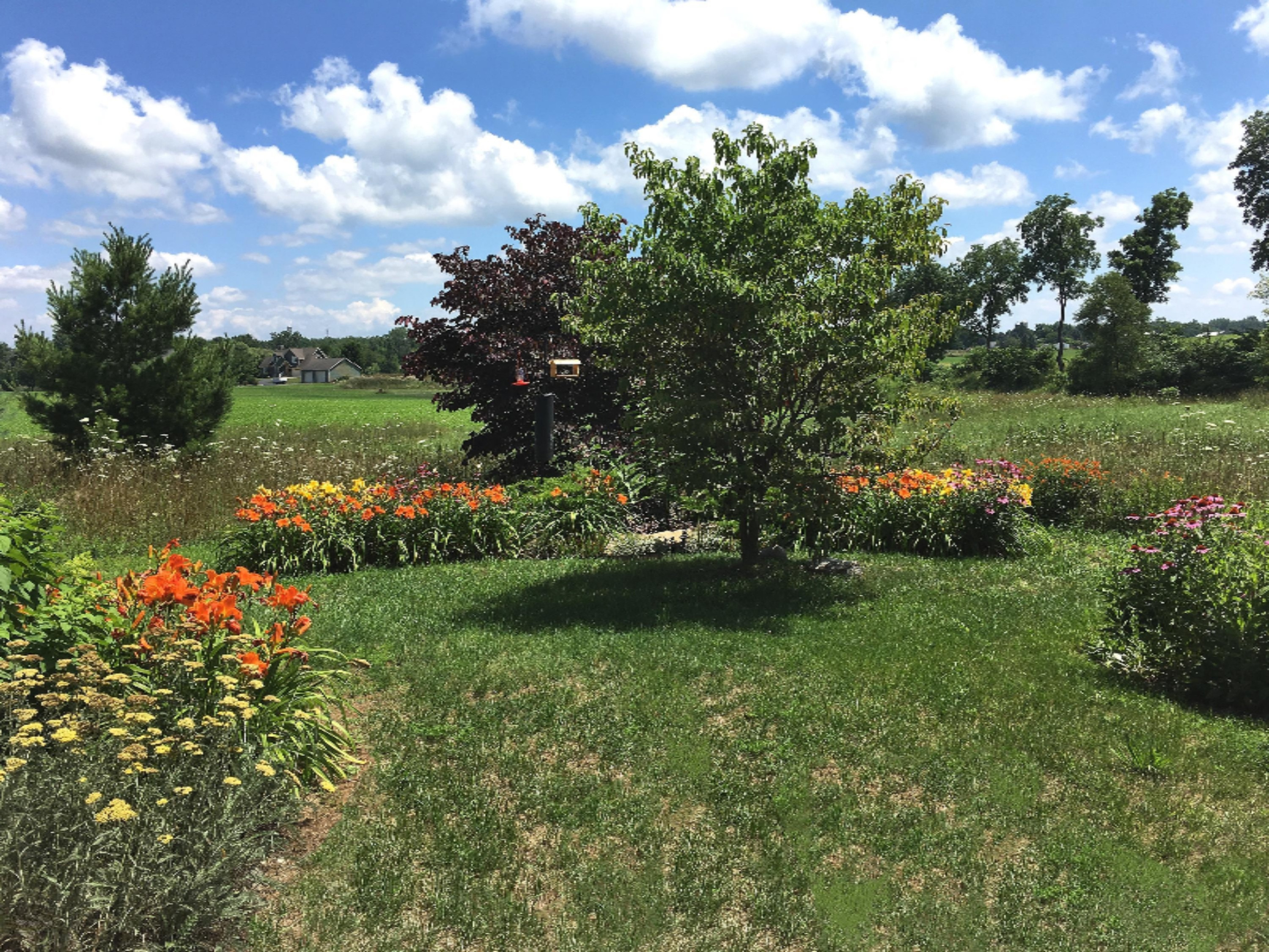2048 Kaiser Road Galien, MI 49113 - Photo 2 of 20 Lilies ornamental trees far view