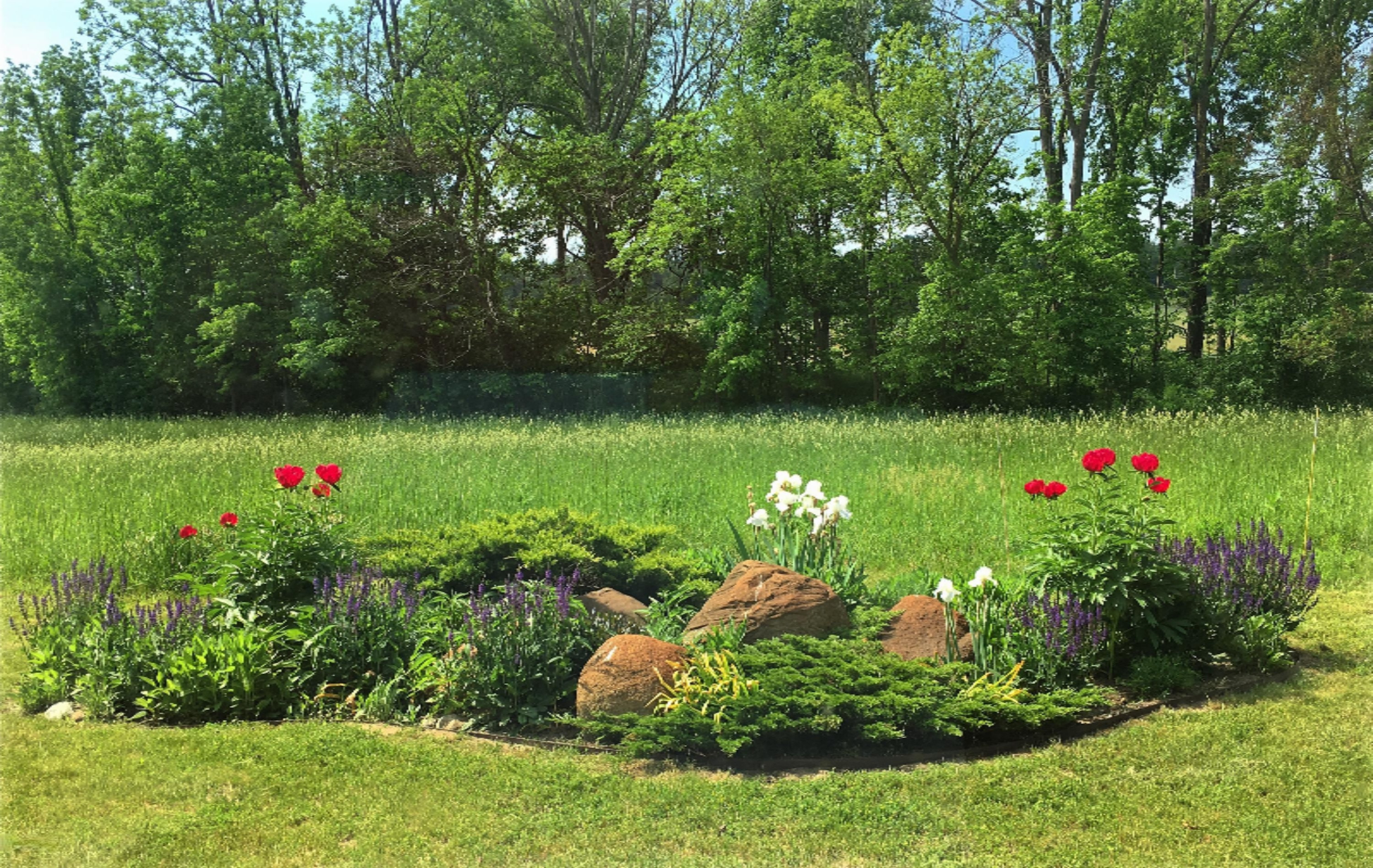 2048 Kaiser Road Galien, MI 49113 - Photo 7 of 20 Iris peonies meadow