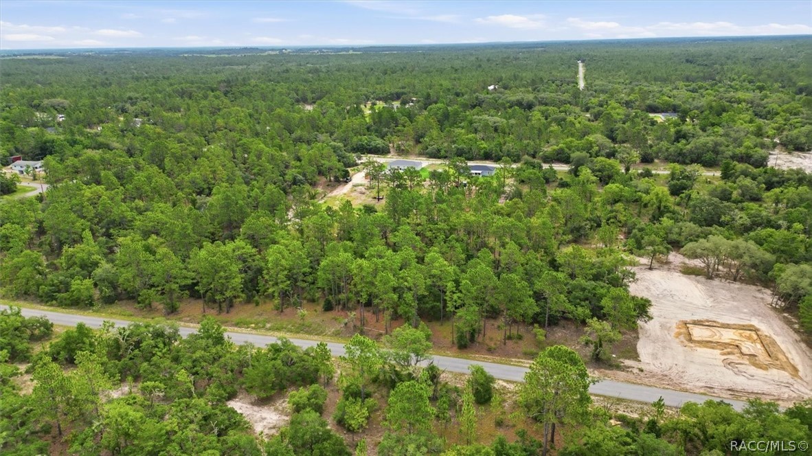 0 Southwest Sands Point Avenue Dunnellon, FL 34431 - Photo 6 of 6