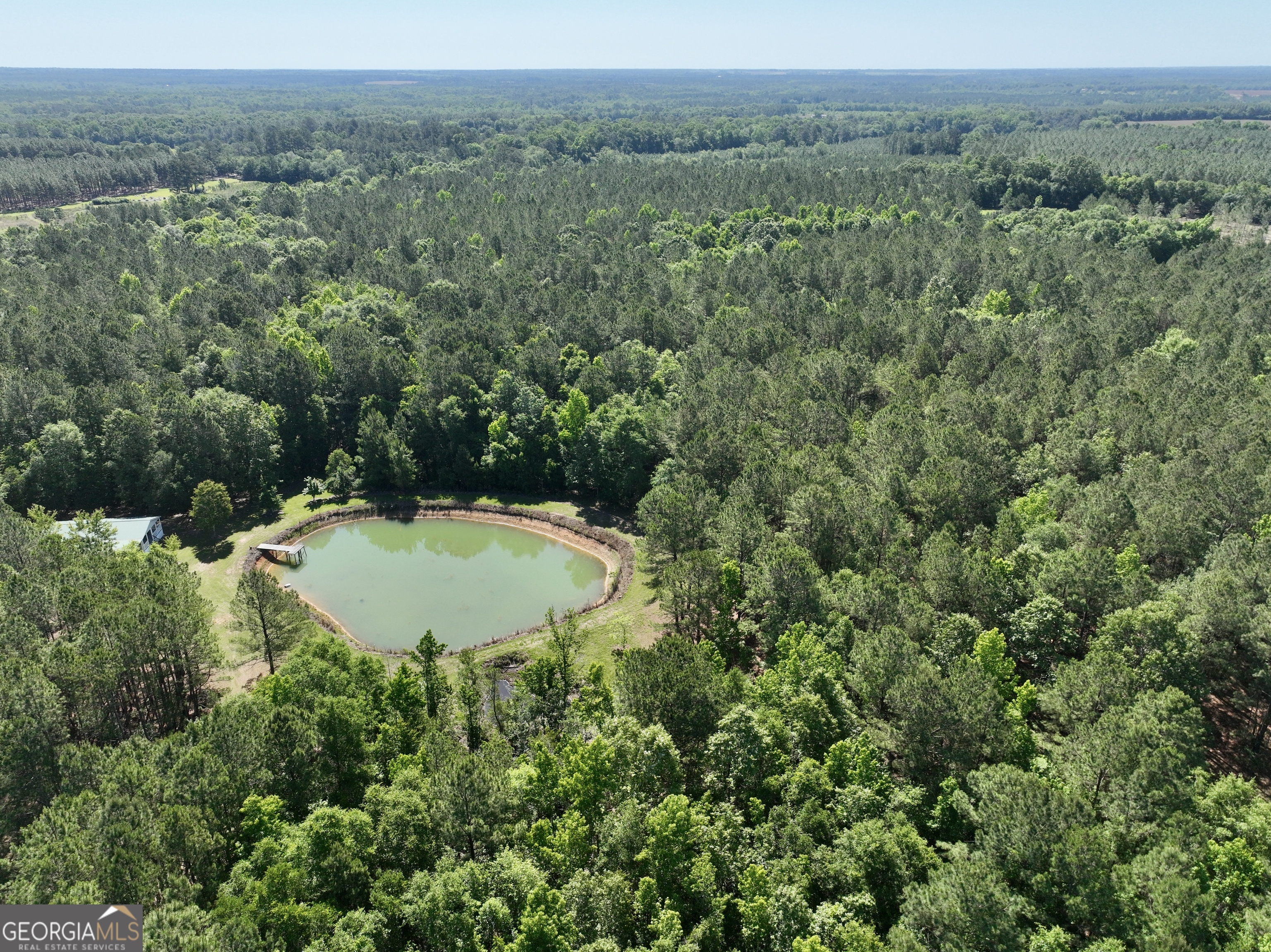 769 Mt Olive Church Road Eastman, GA 31023 - Photo 25 of 68