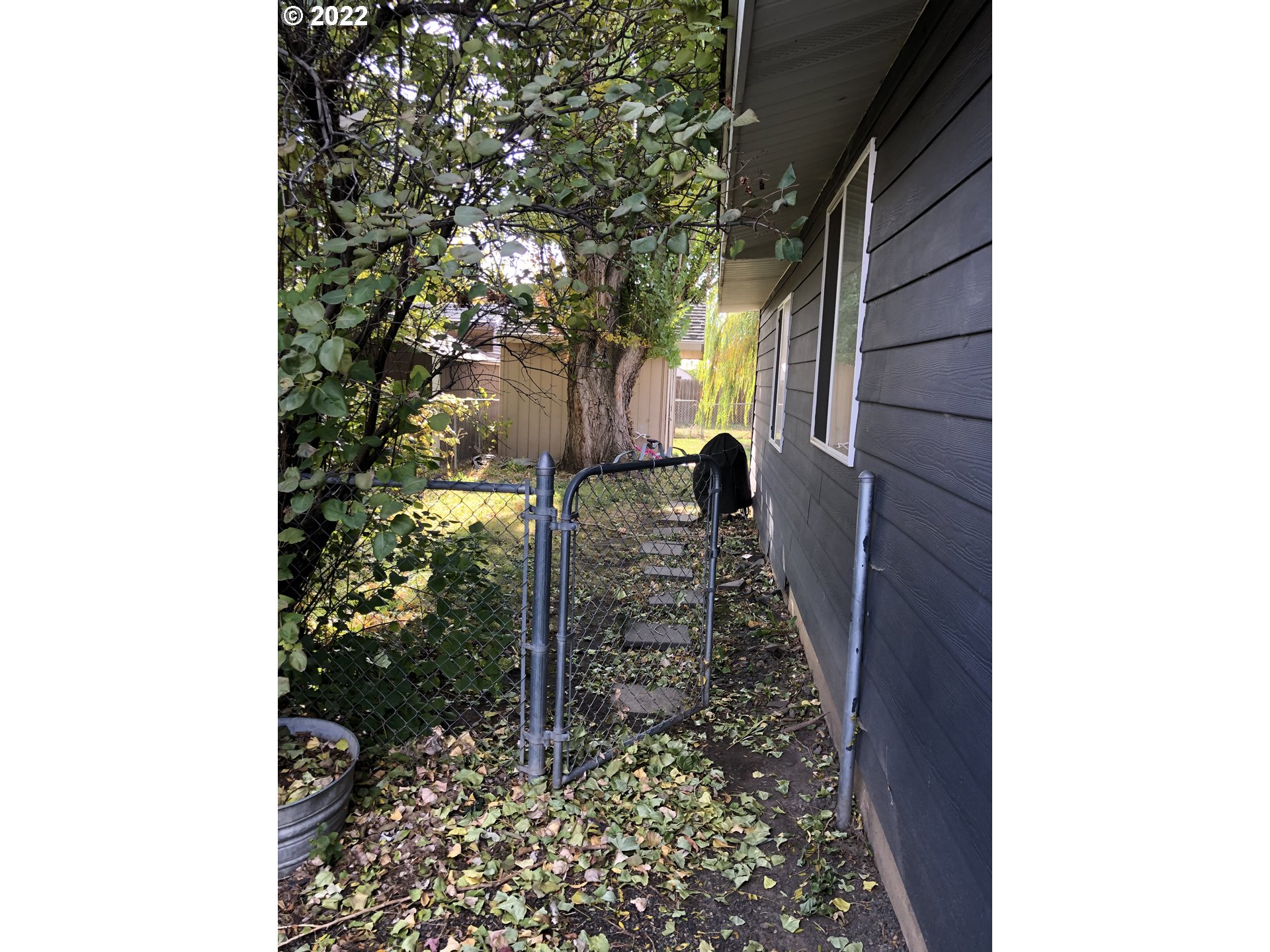 342 Garfield Street Athena, OR 97813 - Photo 6 of 17 Gallery Image 6