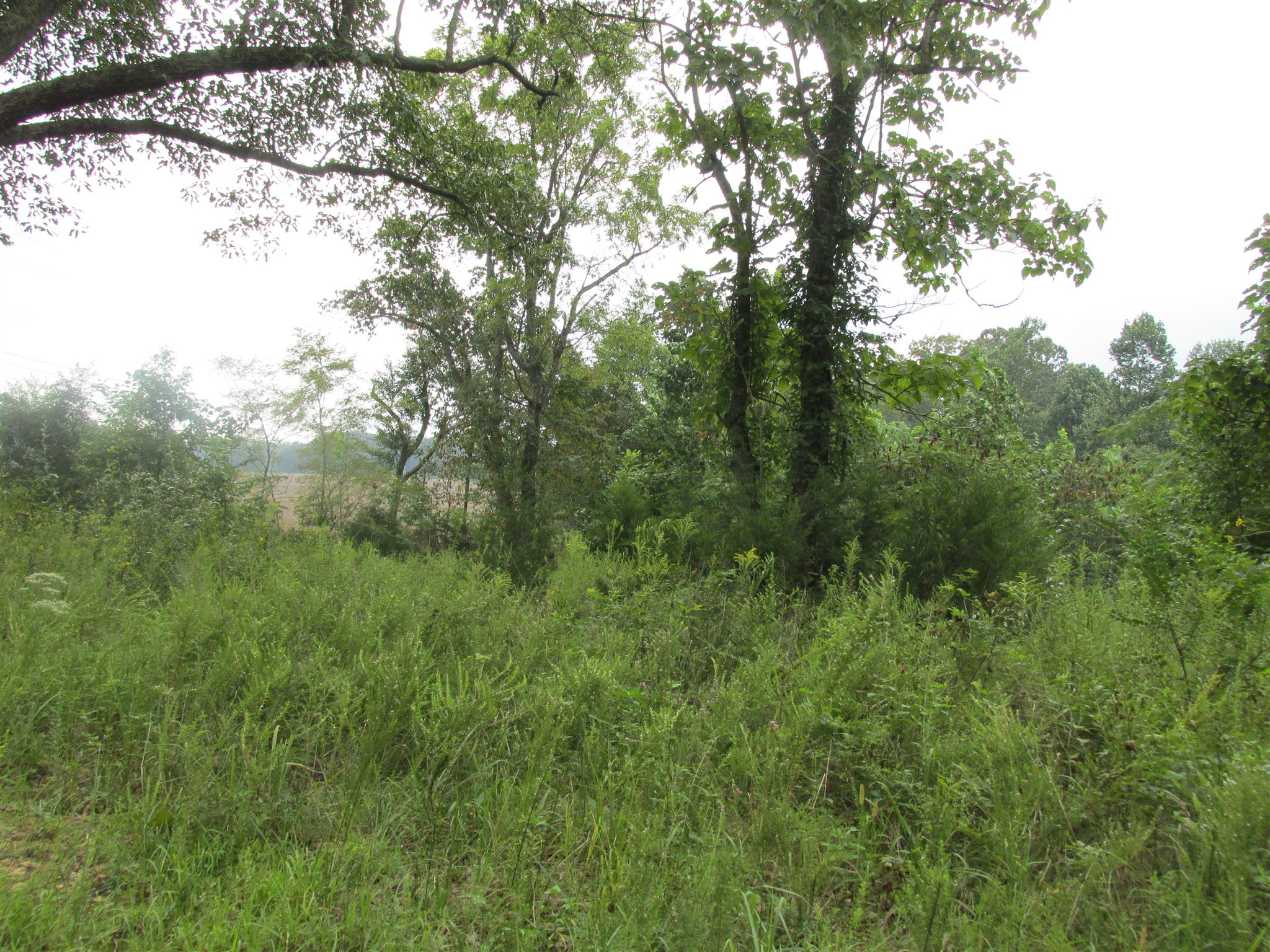 0 York Road Clarksville, TN 37042 - Photo 2 of 6 Gallery Image 2