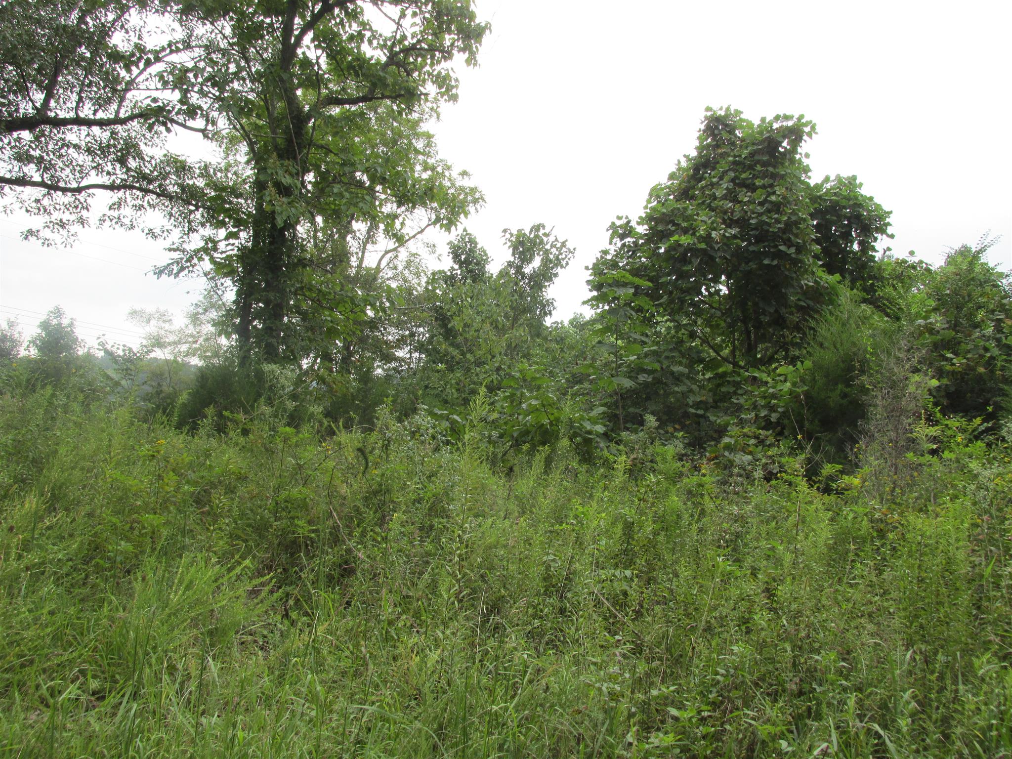 0 York Road Clarksville, TN 37042 - Photo 3 of 6 Gallery Image 3
