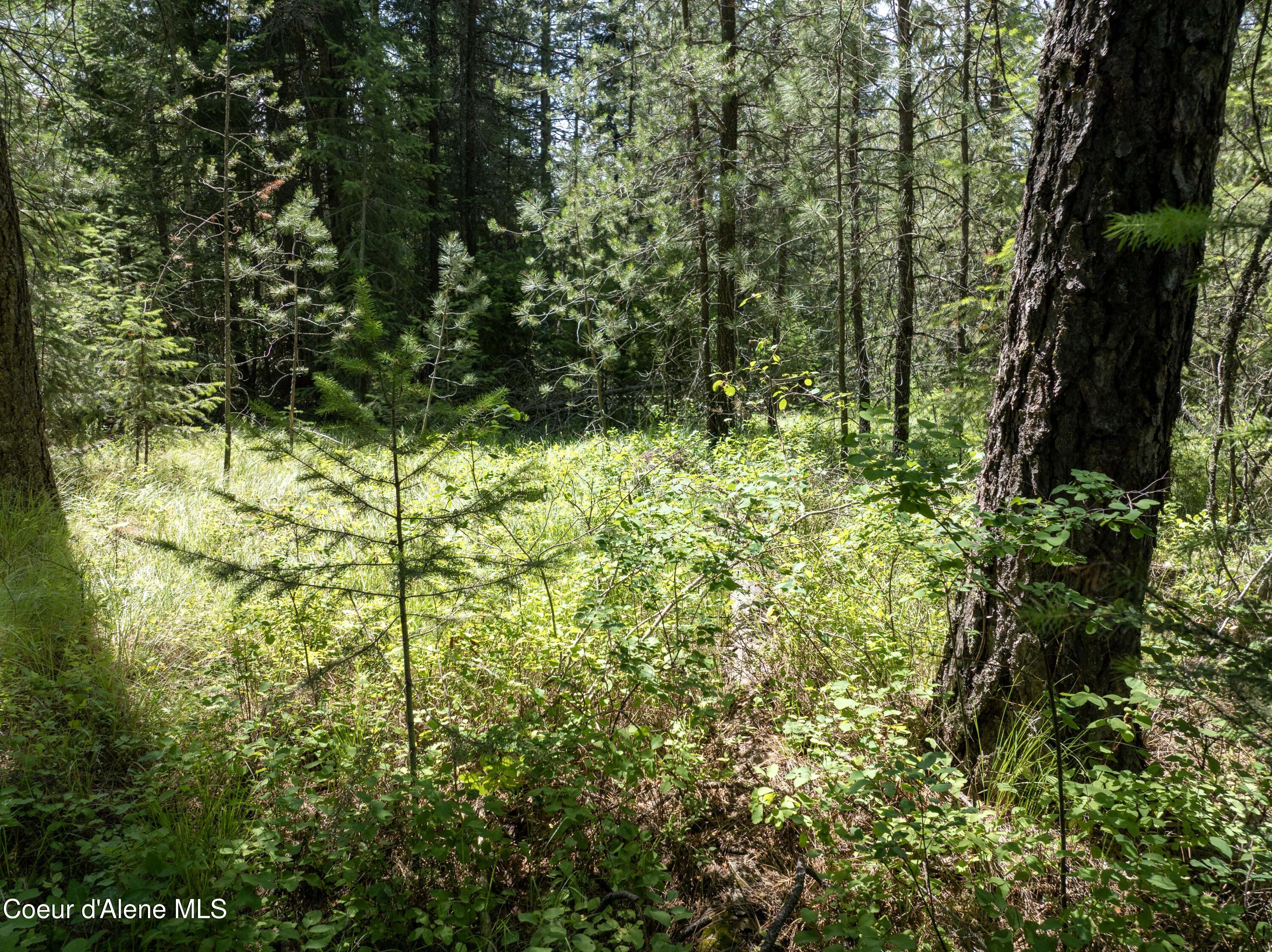 Blk1-lot2 West Grayeagle Road Rathdrum, ID 83858 - Photo 11 of 15 DJI_0209 copy
