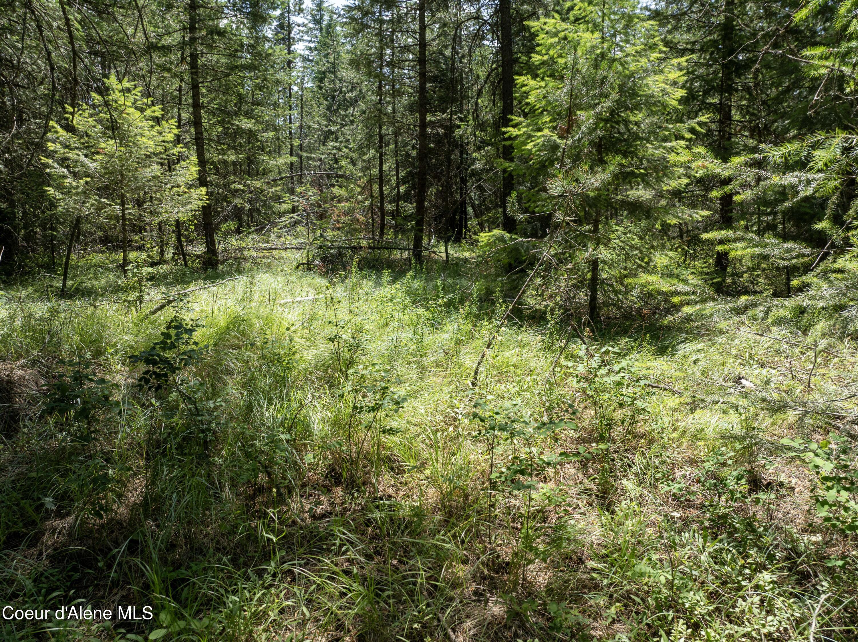 Blk1-lot2 West Grayeagle Road Rathdrum, ID 83858 - Photo 12 of 15 DJI_0210 copy