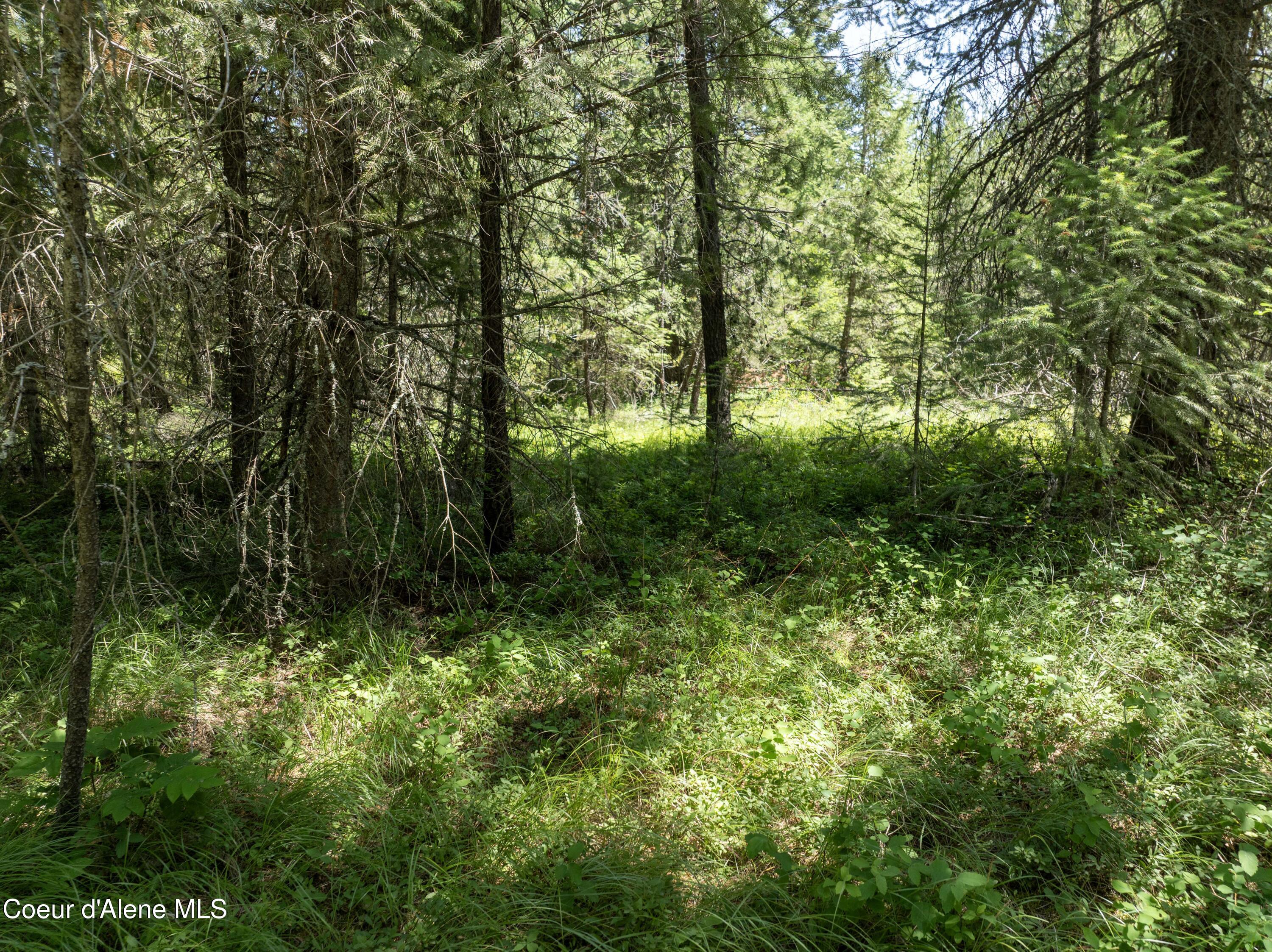 Blk1-lot2 West Grayeagle Road Rathdrum, ID 83858 - Photo 13 of 15 DJI_0211 copy