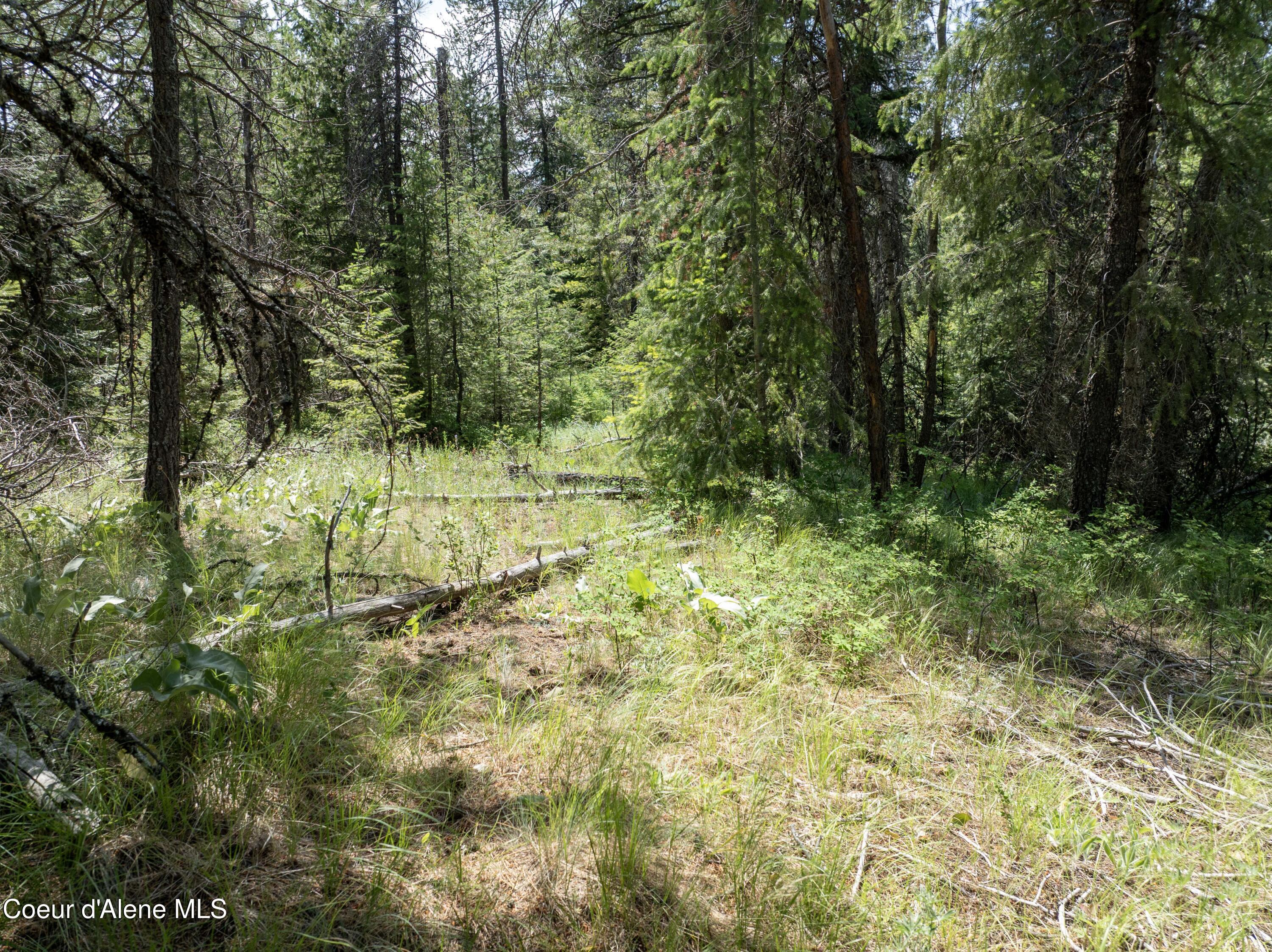Blk1-lot2 West Grayeagle Road Rathdrum, ID 83858 - Photo 15 of 15 DJI_0216 copy