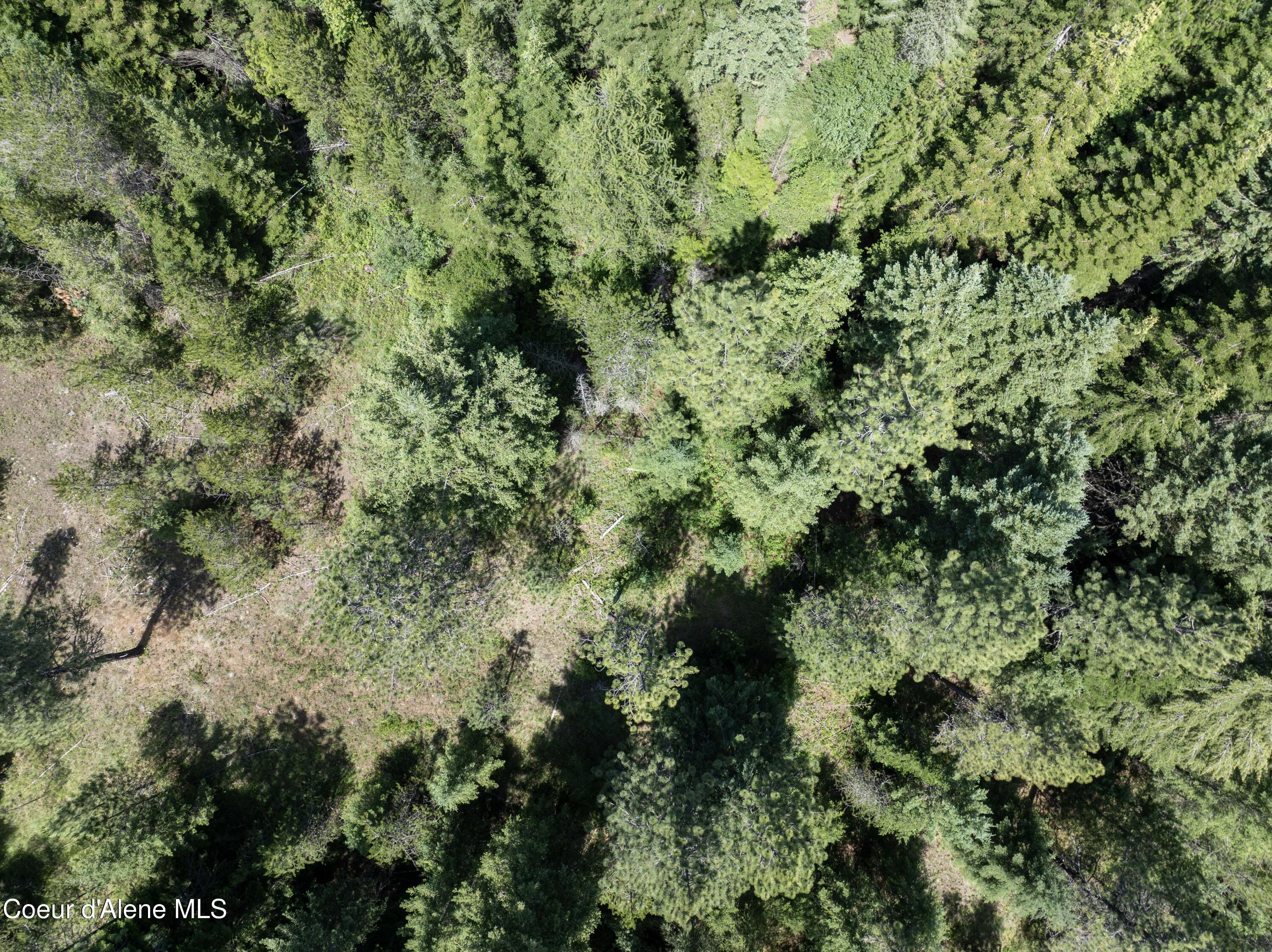 Blk1-lot2 West Grayeagle Road Rathdrum, ID 83858 - Photo 6 of 15 DJI_0192 copy