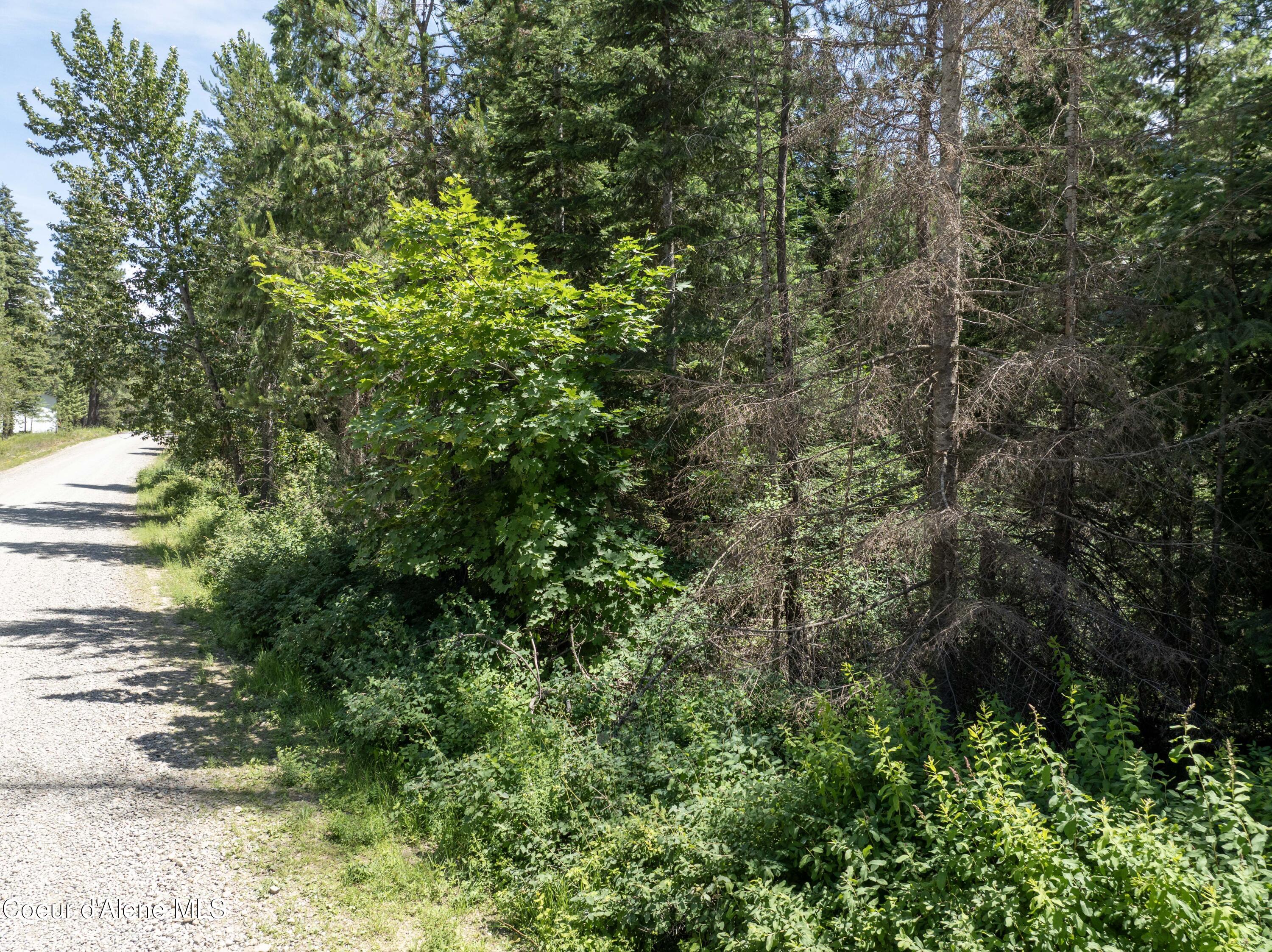 Blk1-lot2 West Grayeagle Road Rathdrum, ID 83858 - Photo 8 of 15 DJI_0201 copy