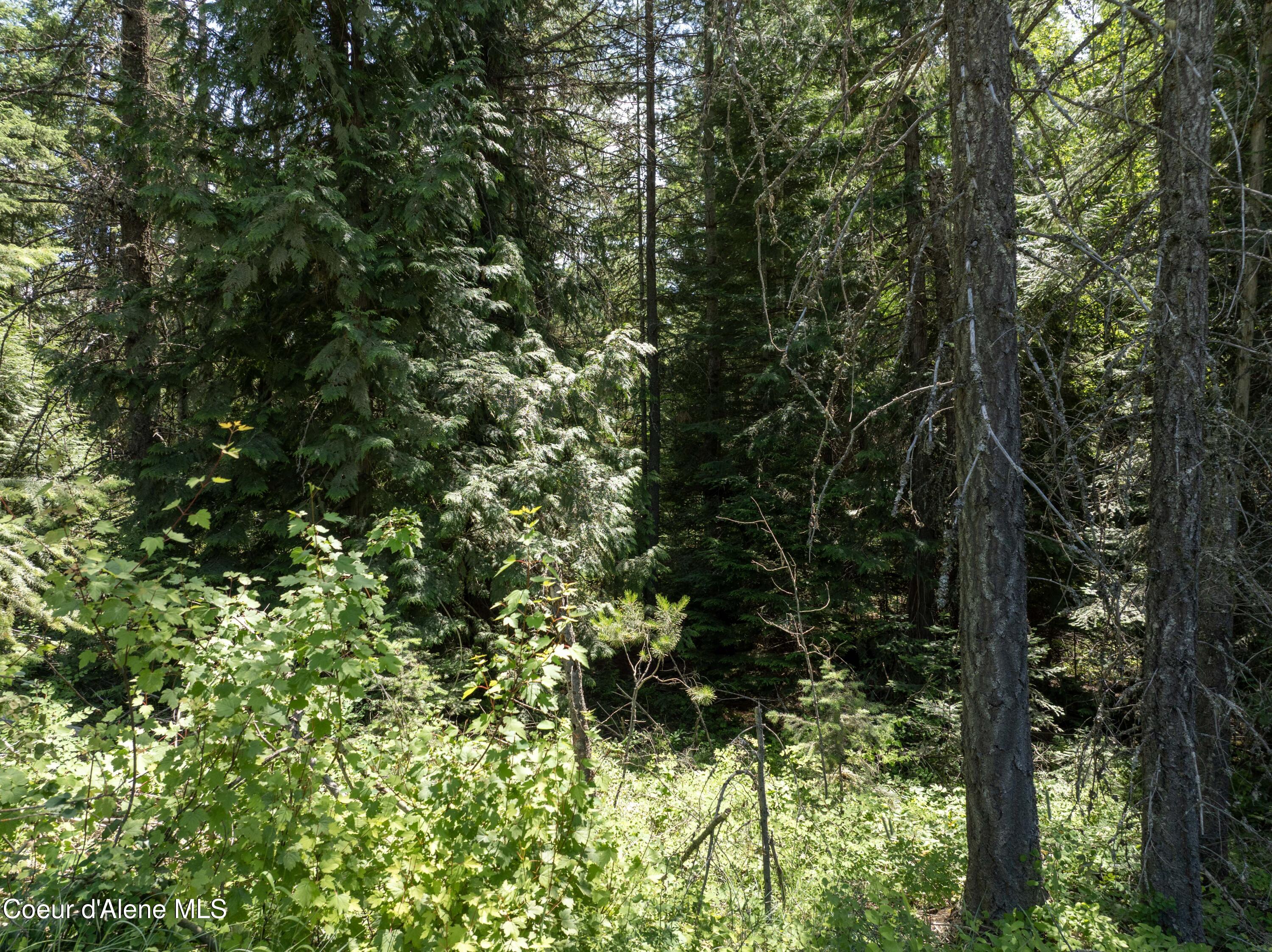 Blk1-lot2 West Grayeagle Road Rathdrum, ID 83858 - Photo 10 of 15 DJI_0205 copy