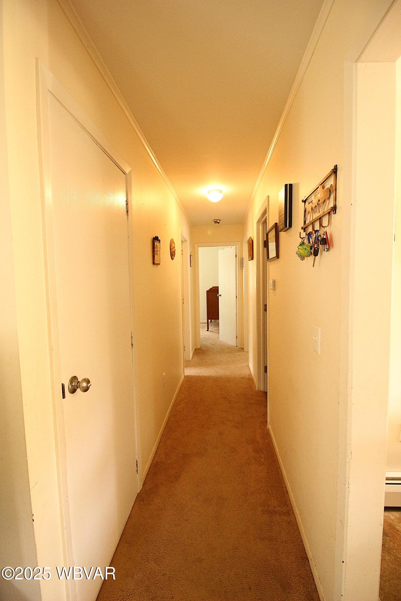 11315 Rose Valley Road Trout Run, PA 17771 - Photo 8 of 21 Hallway