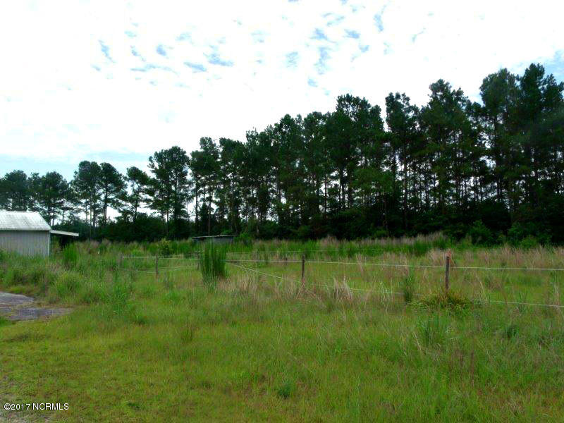760 Indian Hill Road Ivanhoe, NC 28447 - Photo 19 of 23 Backyard