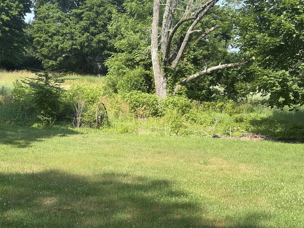 12 Nelson Place Worcester, MA 01605 - Photo 8 of 21