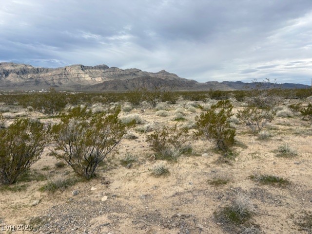 6860 North Blagg Road Pahrump, NV 89060 - Photo 2 of 3