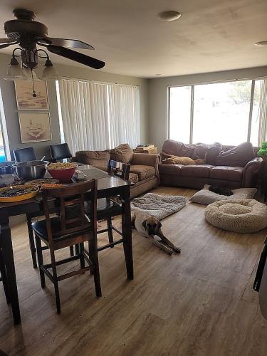 60 County Rd N6420 St. Johns, AZ 85936 - Photo 3 of 19