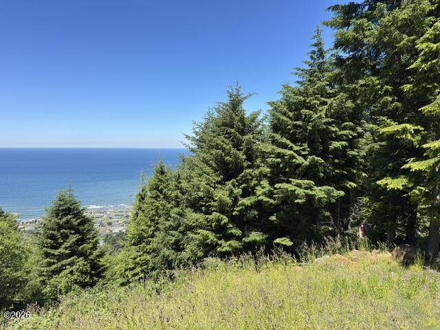 Tl5000 Horizon Hill Road Yachats, OR 97498 - Photo 1 of 16