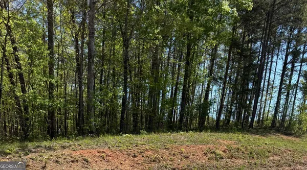$140,000 | 0 Us Hwy 27, Bremen, GA 30113