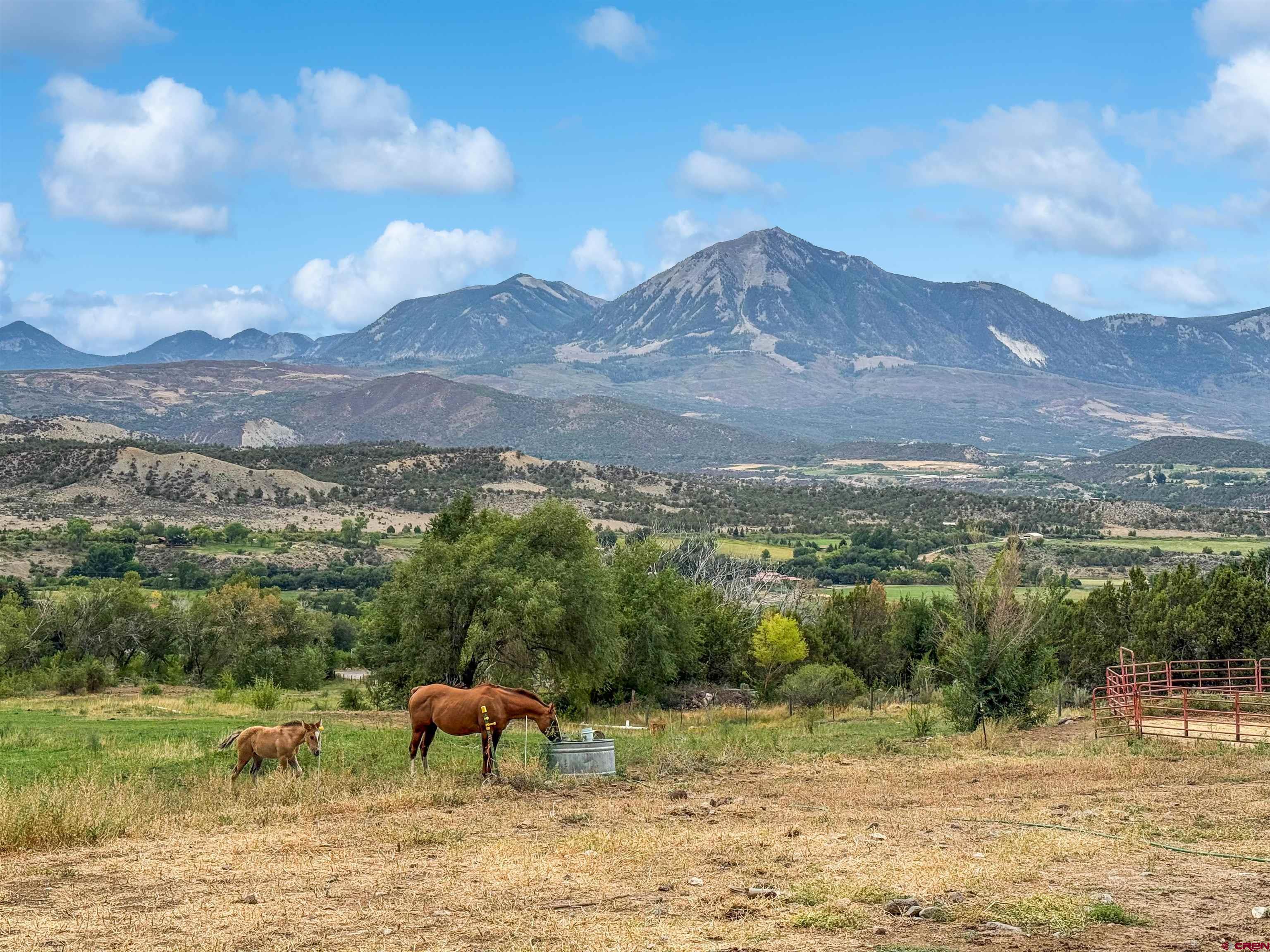 41263 Highway 133 Paonia, CO 81428 - Photo 7 of 44 a view of a town with mountains in the background