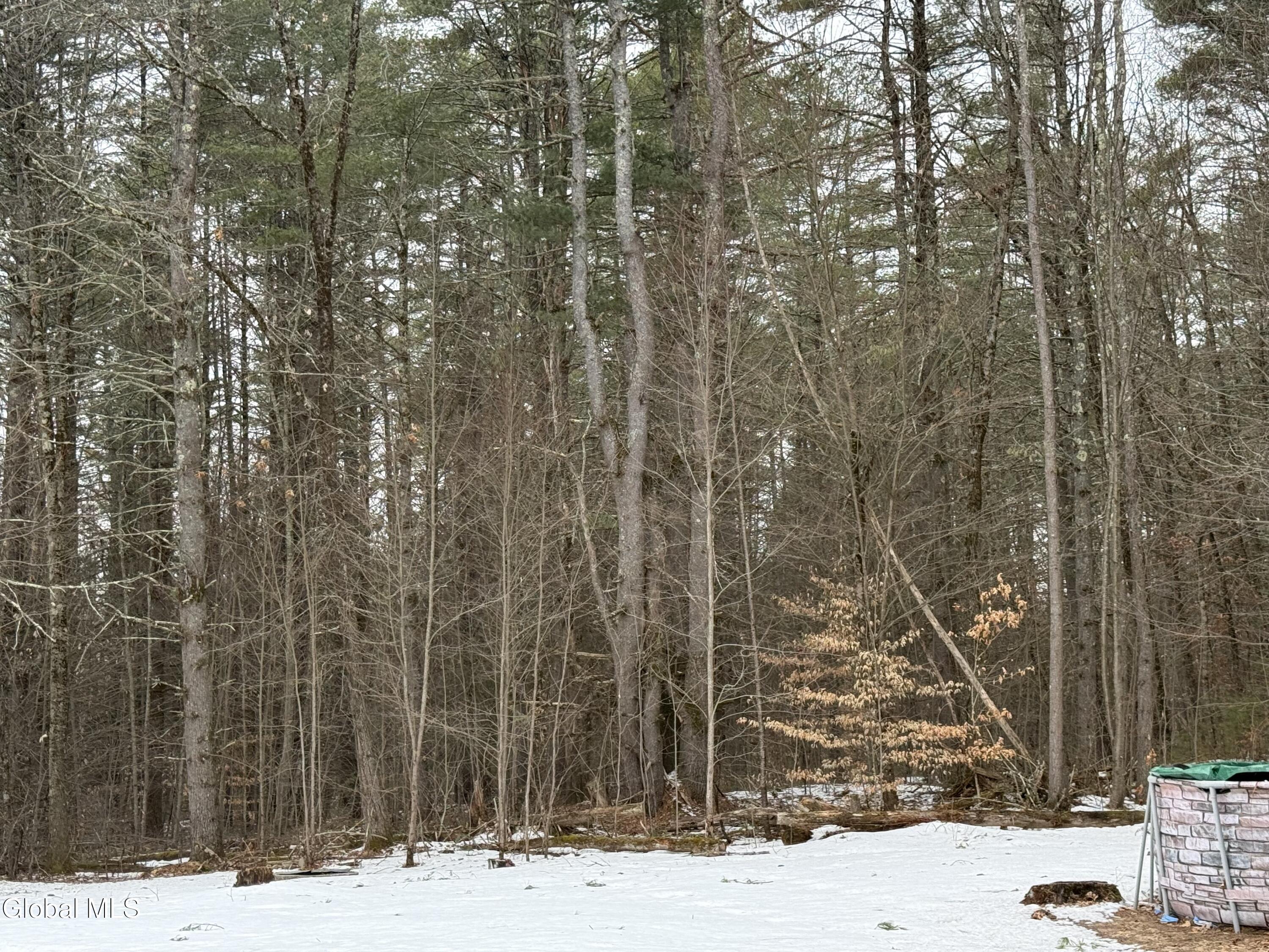 1073 Middleline Road Ballston Spa, NY 12020 - Photo 23 of 26 IMG_0372