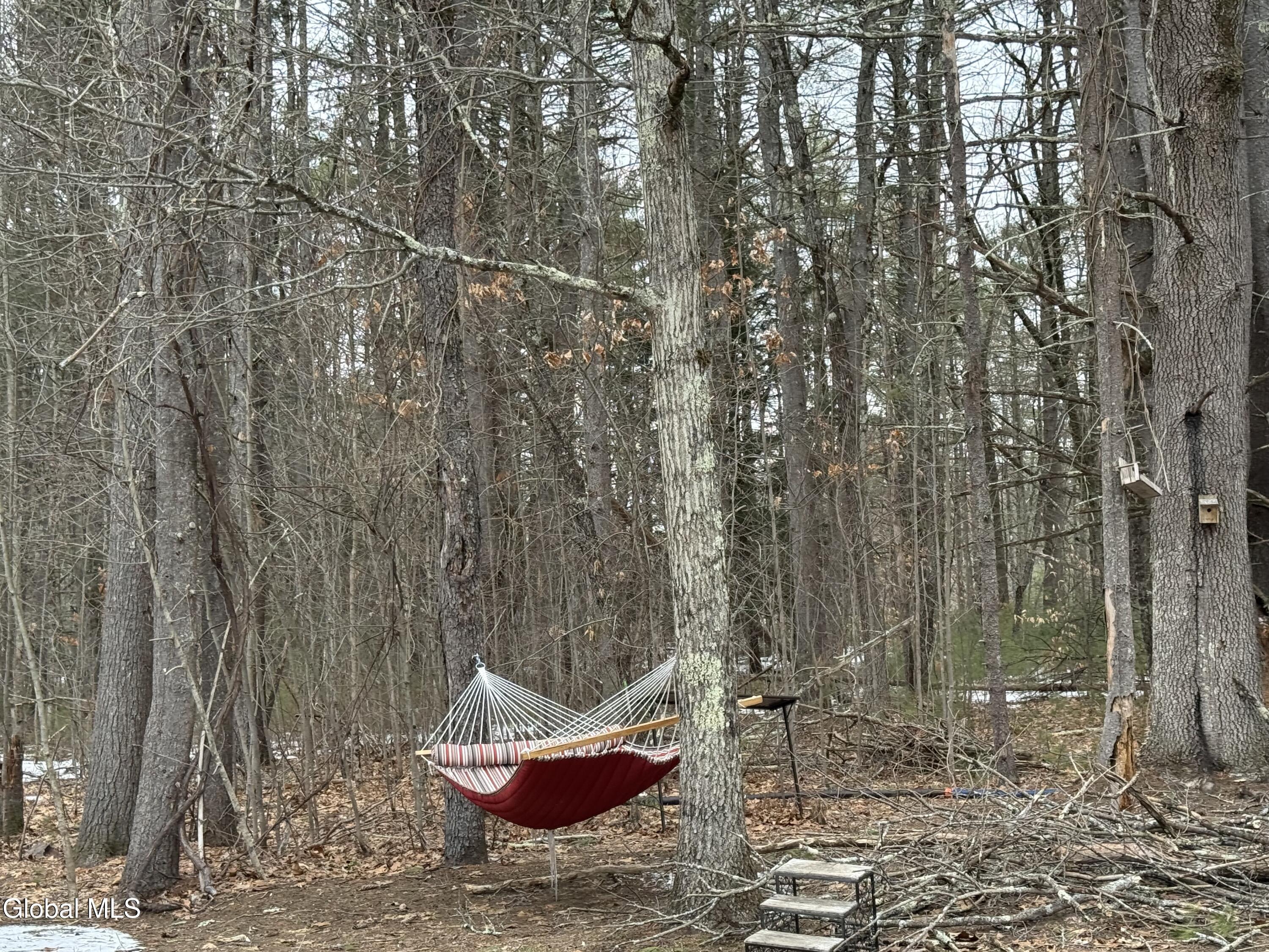 1073 Middleline Road Ballston Spa, NY 12020 - Photo 24 of 26 IMG_0373