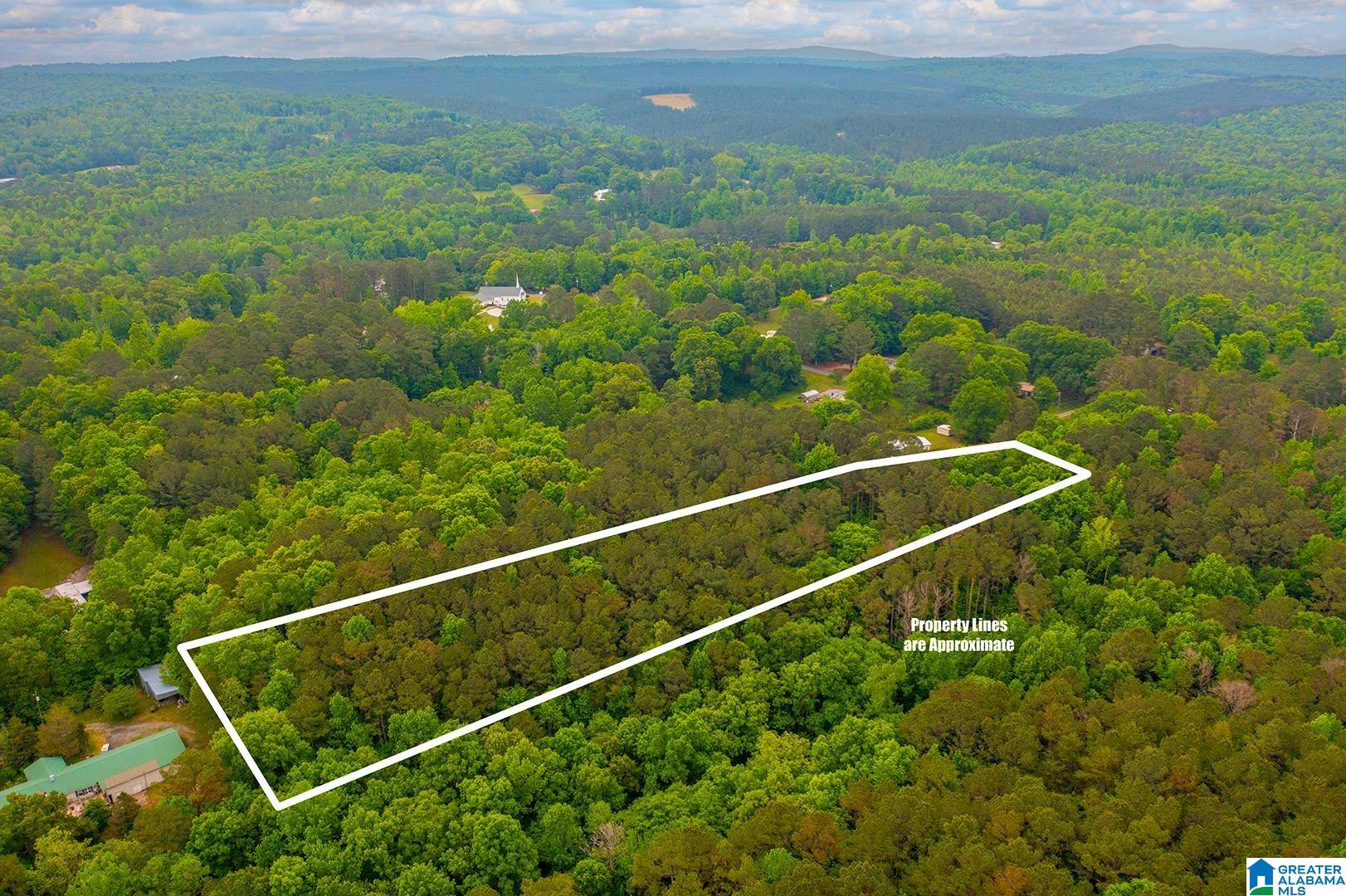 0 Spunky Hollow Road, Unit 1 Trafford, AL 35172 - Photo 9 of 18