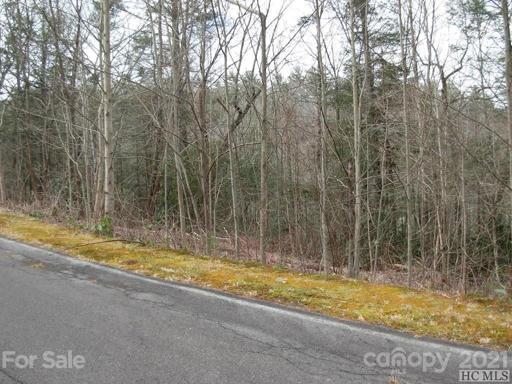 7 Turkey Roost Road, Unit 7 Sapphire, NC 28774 - Photo 1 of 3 Gallery Image 1