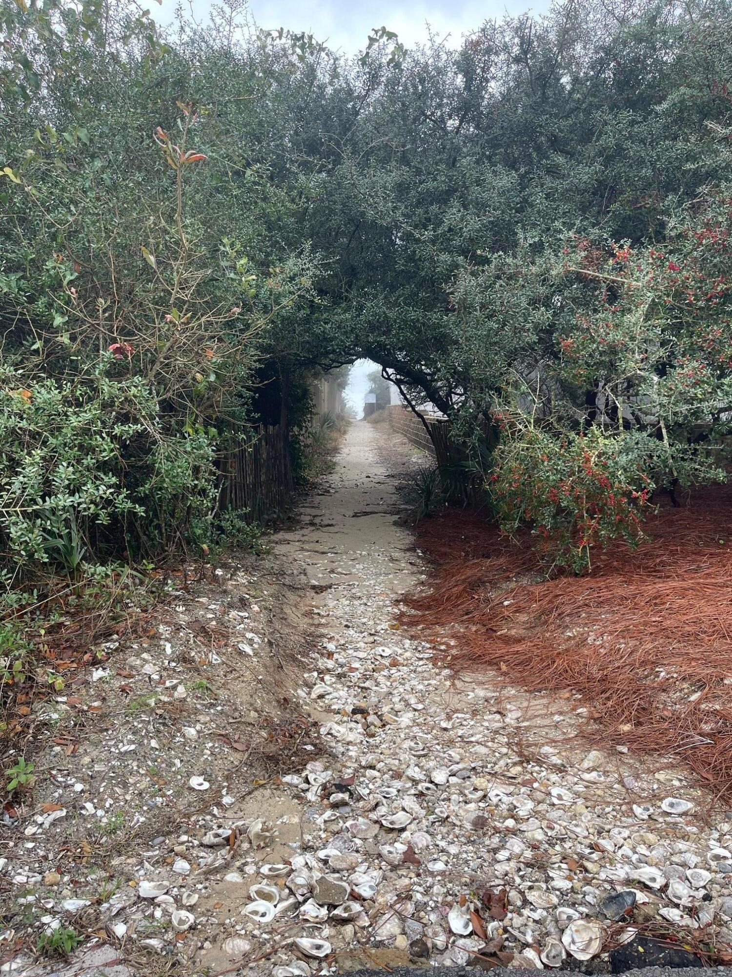 102 Bullard Road Santa Rosa Beach, FL 32459 - Photo 59 of 63 a view of a yard with a tree